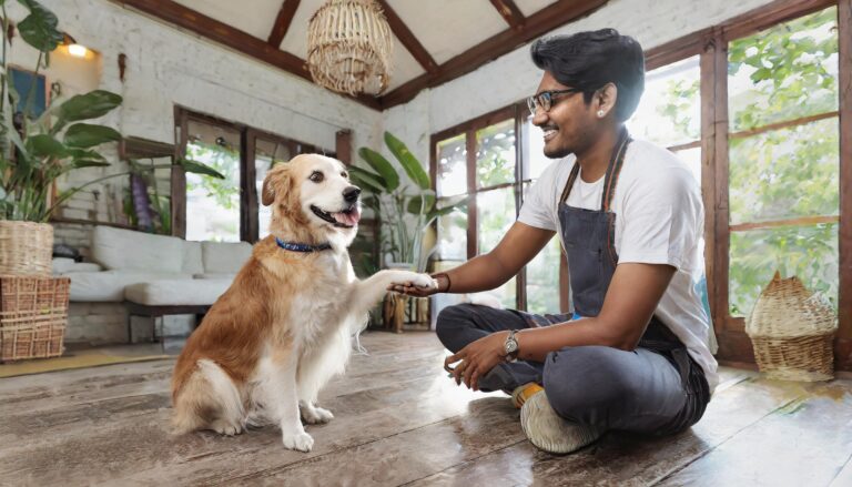 Firefly Indian pet trainer teaching pet how to shake hand inside a modern indian house with good int